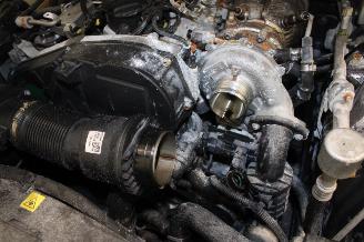 Alfa Romeo Giulia  picture 18