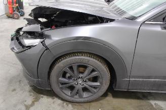 Mazda CX-30  picture 5