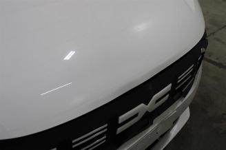 Dacia Sandero  picture 7