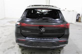 Mercedes EQA  picture 8