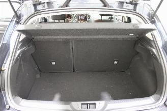 Renault Mégane Megane picture 18