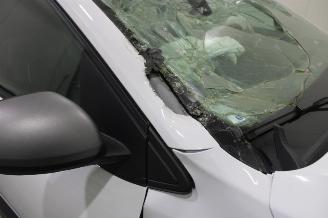 Dacia Sandero  picture 8