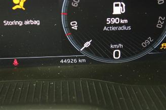 Skoda Kodiaq  picture 13