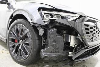 Audi Q8 e-tron picture 8