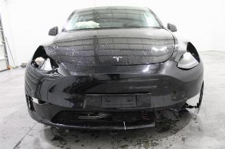 Tesla Model Y  picture 6