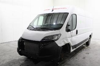 Schadeauto Peugeot Boxer  2024/10