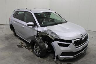 Skoda Kamiq  picture 2
