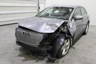  Audi Q4 e-tron 2025/1
