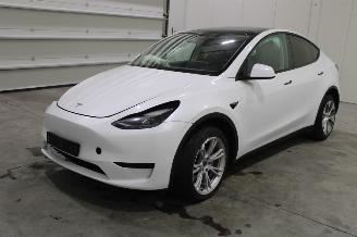  Tesla Model Y  2023/6