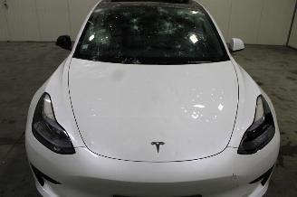 Tesla Model 3  picture 5
