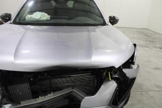 Peugeot 2008  picture 20