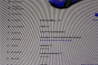 Tesla Model Y  picture 12