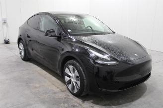 Tesla Model Y  picture 2