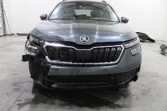 Skoda Kamiq  picture 5