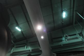 Tesla Model 3  picture 9