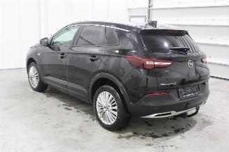 Opel Grandland X picture 4