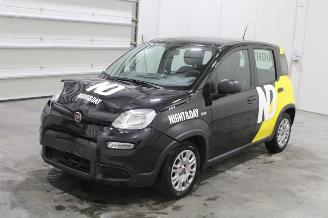 Coche accidentado Fiat Panda  2023/3