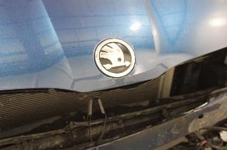 Skoda Octavia  picture 8