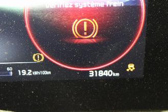 Kia Niro EV picture 13