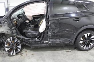Opel Grandland X picture 8