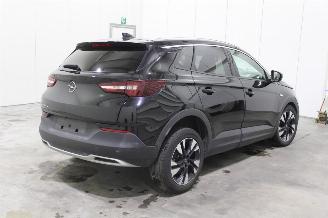 Opel Grandland X picture 4
