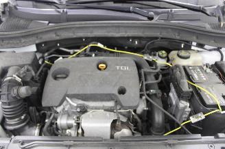 MG ZS  picture 15