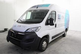 skadebil auto Opel Movano  2022/9
