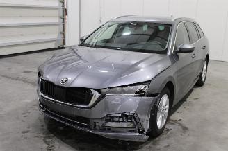 skadebil auto Skoda Octavia  2023/9