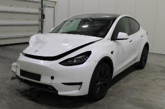skadebil auto Tesla Model Y  2024/9