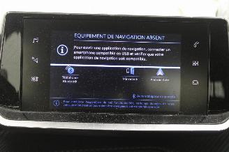 Peugeot 2008  picture 14