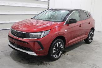 Damaged car Opel Grandland X 2023/9