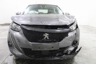 Peugeot 2008  picture 6