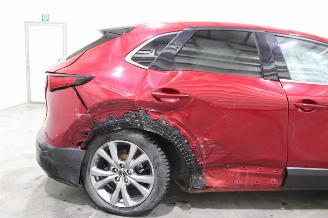 Mazda CX-30  picture 7