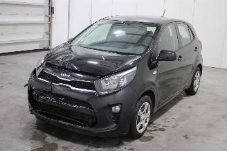 Vaurioauto  passenger cars Kia Picanto  2024/4