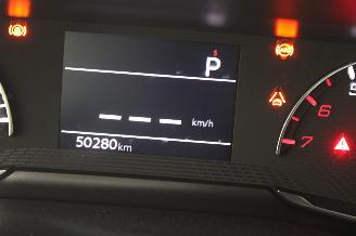 Peugeot 2008  picture 13