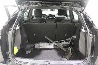 Peugeot 2008  picture 19