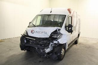 skadebil auto Opel Movano  2024/2