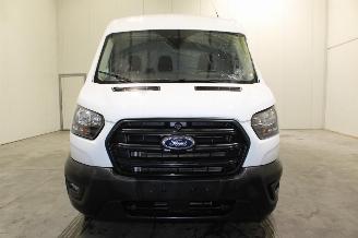 Ford Transit  picture 5