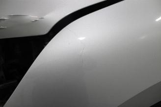 Renault Grand-scenic Grand Scenic picture 6