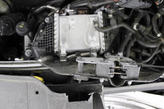 Volkswagen Transporter T6 picture 19