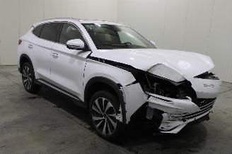 BYD Seal U  picture 2