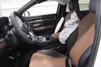 BYD Seal U  picture 10