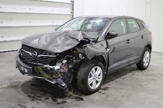 Opel Grandland X picture 1