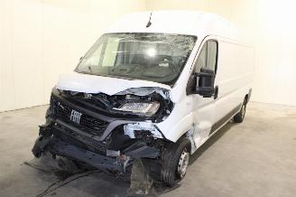 Vrakbiler auto Fiat Ducato  2024/2