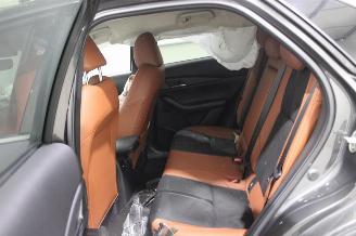 Mazda CX-30  picture 10