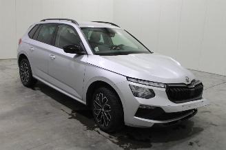 Skoda Kamiq  picture 2