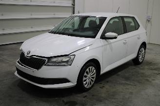 damaged passenger cars Skoda Fabia  2019/6
