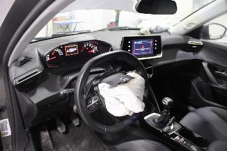 Peugeot 2008  picture 10
