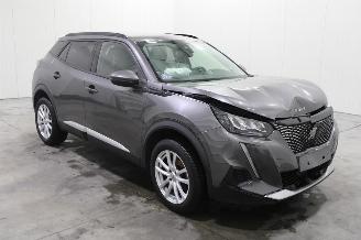 Peugeot 2008  picture 2