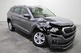 Skoda Kodiaq  picture 2